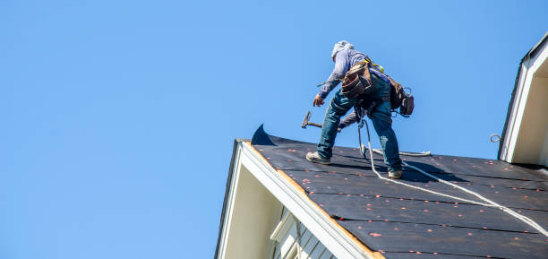 Best Roof Gutter Cleaning  in Dunnstown, PA